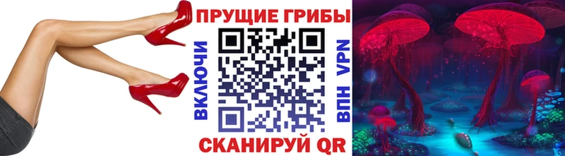 цены   гидра tor  Псилоцибиновые грибы прущие грибы  Отрадный 