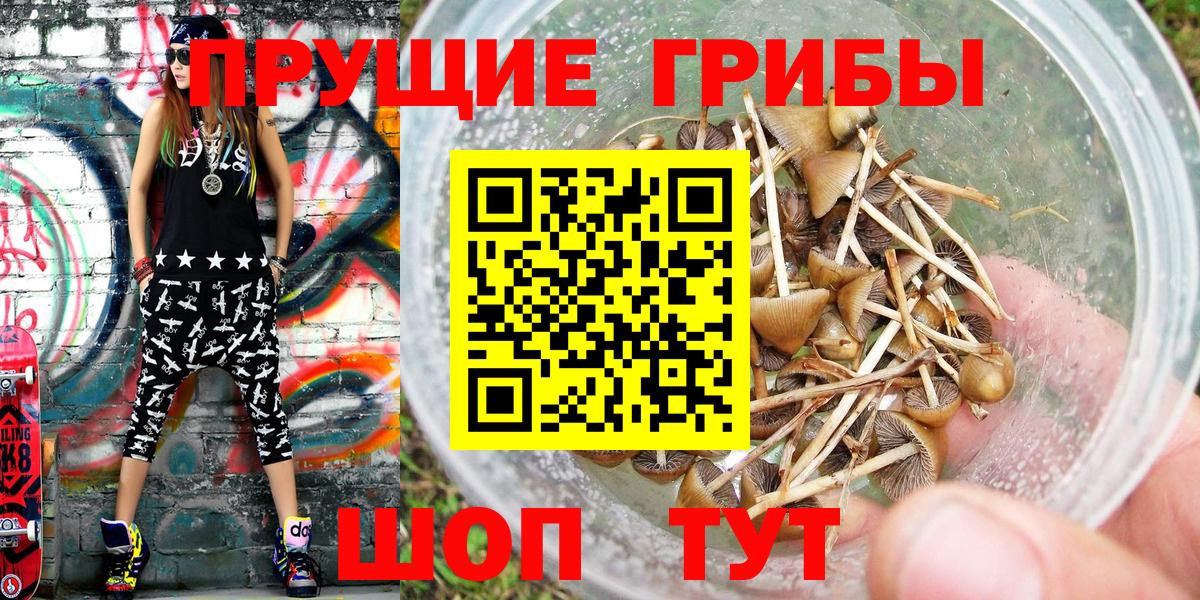 Галлюциногенные грибы мицелий  где можно купить наркотик  Отрадный  Вход с VPN 