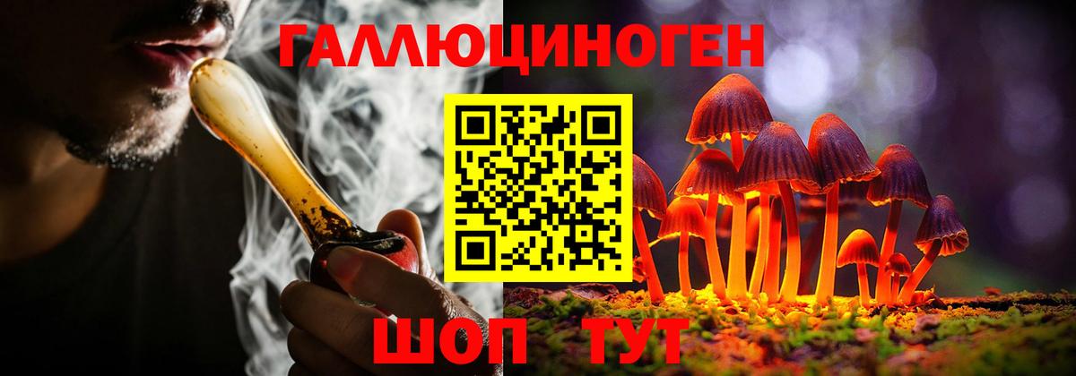 Галлюциногенные грибы Psilocybe Отрадный