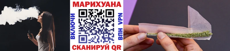 Конопля сатива  Отрадный 